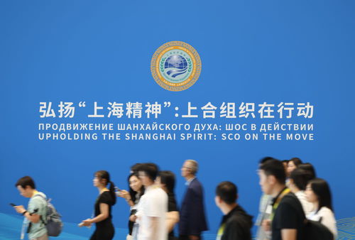 上合組織天津峰會(huì) 攜手共建繁榮發(fā)展共同家園，共走可持續(xù)發(fā)展之路